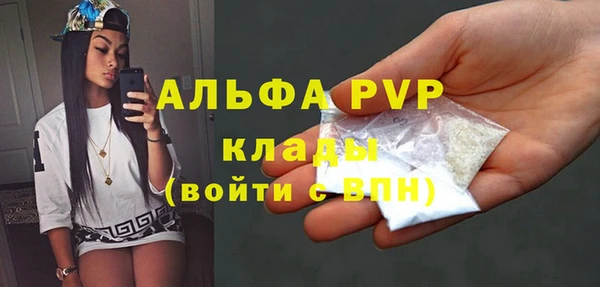 хмурый Алзамай