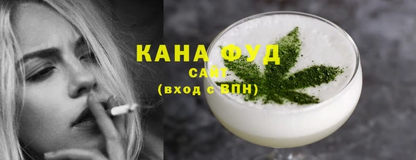 гашик Новодвинск