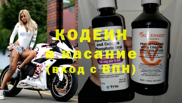 хмурый Алзамай