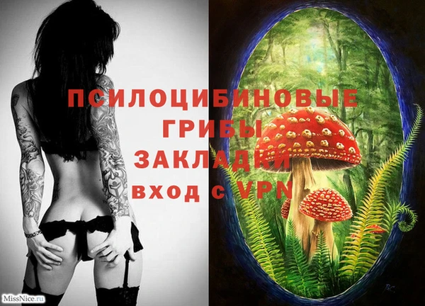 2c-b Алексеевка