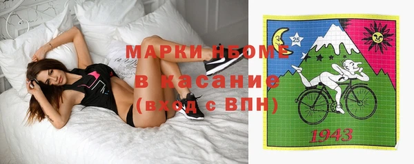 хмурый Алзамай