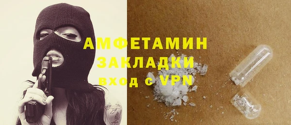 стаф Алексин