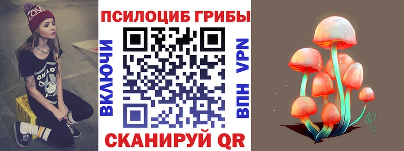 закладка  Аргун  мега как зайти  Псилоцибиновые грибы мухоморы 